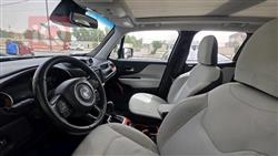 جيب رينيجيد